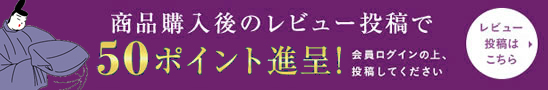 レビュー書いて、50ポイント進呈